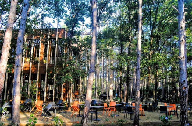 İğneada Longosphere Glamping